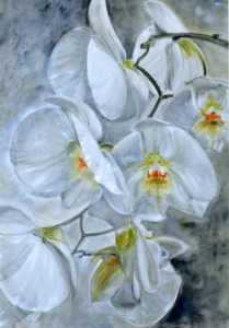 Orchidee, olio su tela 70x100 cm